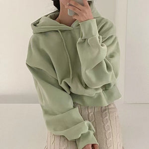 [Korean Style] 5 Color Dropped Shoulder Crop Sweatshirt Hoodie