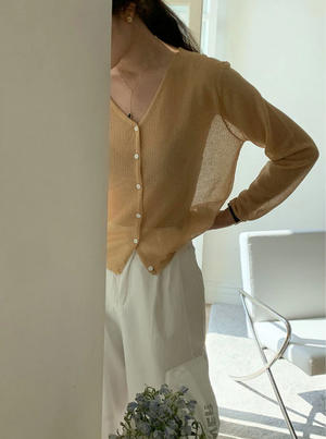 [Korean Style] Solid Color V-Neck Long-Sleeved Sheer Knit Top Cardigan