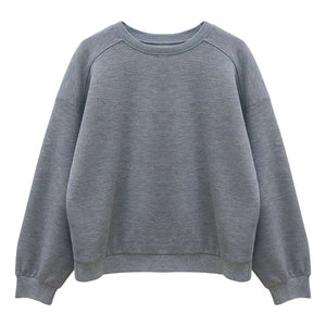 [Korean Style] Wyne Solid Color Loose Fit Long Sleeve Sweatshirt