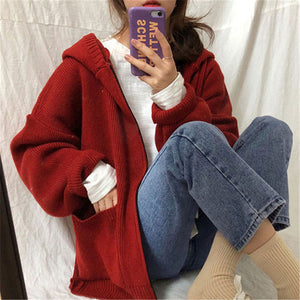 [Korean Style] Karen Long Sleeve Knit hoodie