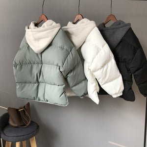 [Korean Style] Cloath Cotton Padded Coat with hood