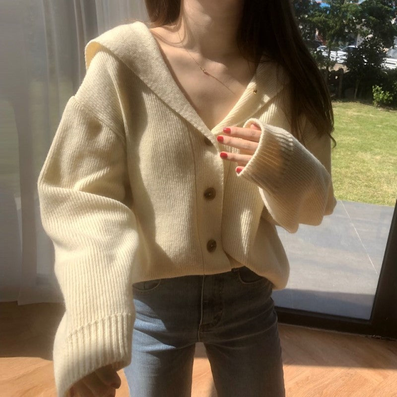 [Korean Style] Sheirly V neckline knitted cardigan Hoodie